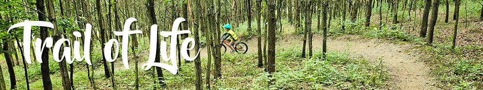 Family traily 02 - Singletraily pod Travičnou (Trail of Life)